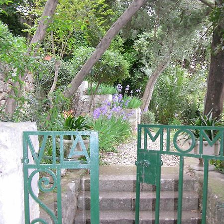 Villa Miomir Dubrovnik Exterior photo