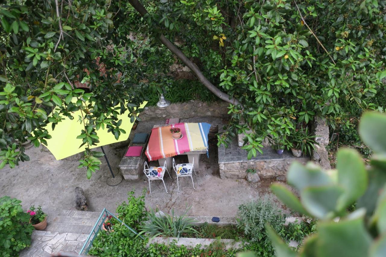 Villa Miomir Dubrovnik Exterior photo